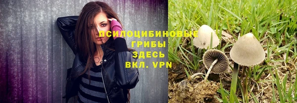 прущие крисы Красноперекопск