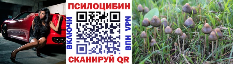Псилоцибиновые грибы ЛСД Кола